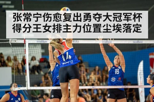 volleyball match action