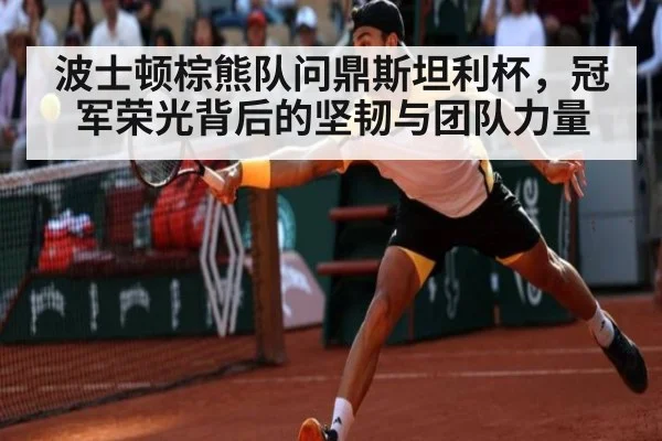 波士顿棕熊队问鼎斯坦利杯，冠军荣光背后的坚韧与团队力量