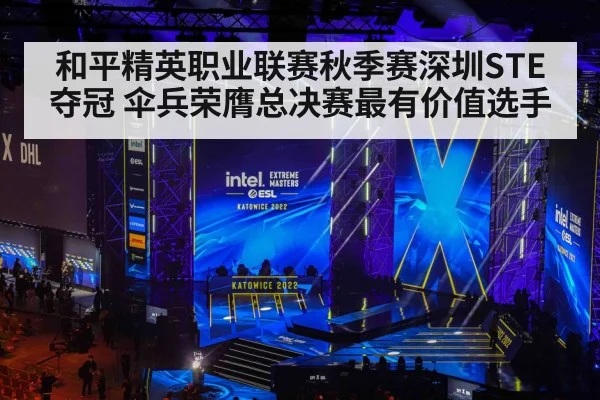 和平精英职业联赛秋季赛深圳STE夺冠 伞兵荣膺总决赛最有价值选手